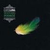 RӯNI WYKONAWCY - Cafe Luna - brazylijska podr�
